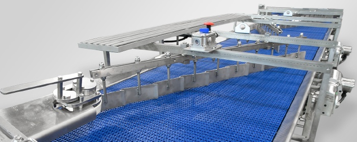 Chicaning Conveying System - Stainless Steel Conveyors
