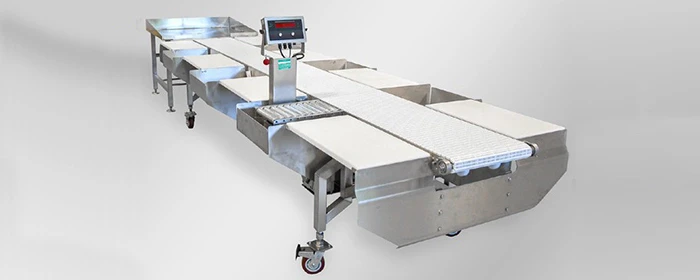 Workstation Conveyor - Stainless Steel Conveyor System